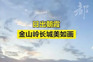 ?兰德尔39+9 爱德华兹35分 唐斯29分 尼克斯力擒森林狼止3连败